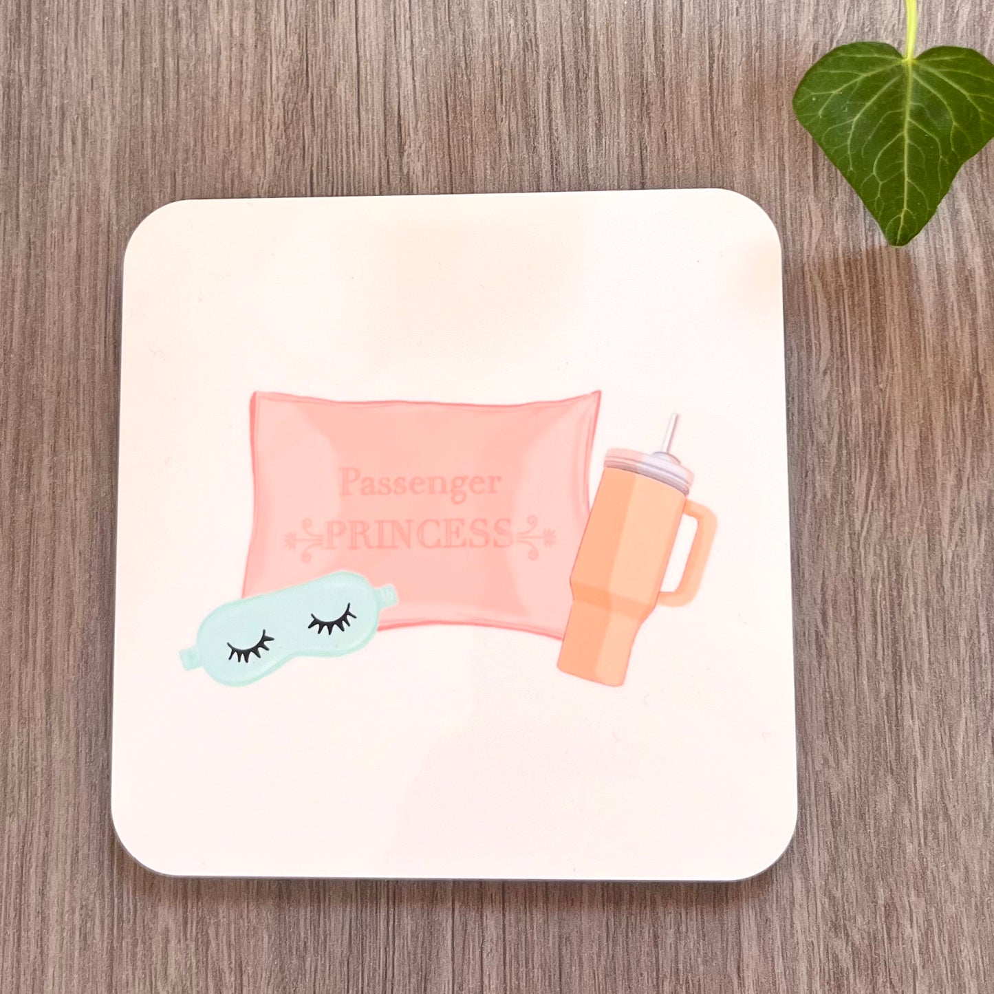 Passenger Princess Coaster